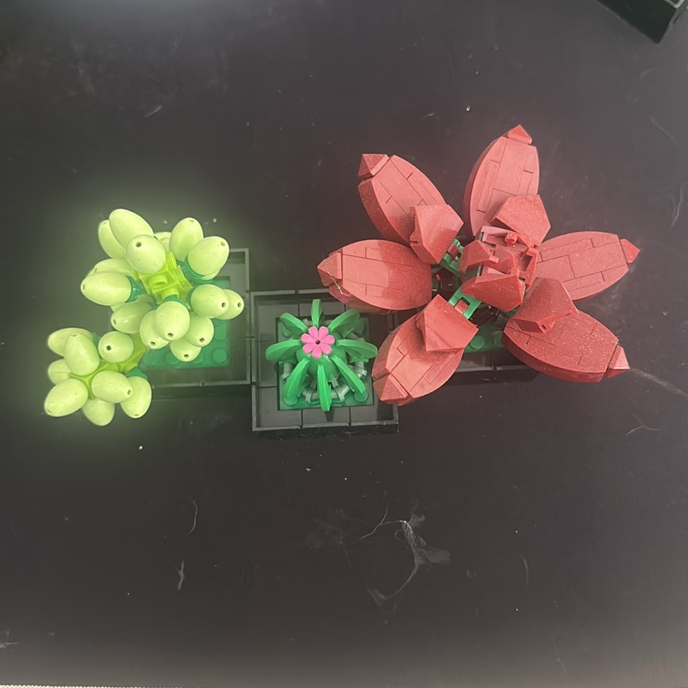 SOLD LEGO Botanical Collection Succulents Home Decor 771 pieces NIB - Picture 10 of 11